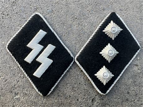 Mint Condition SS Collar Insignia